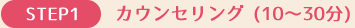 カウンセリング(10~30分)