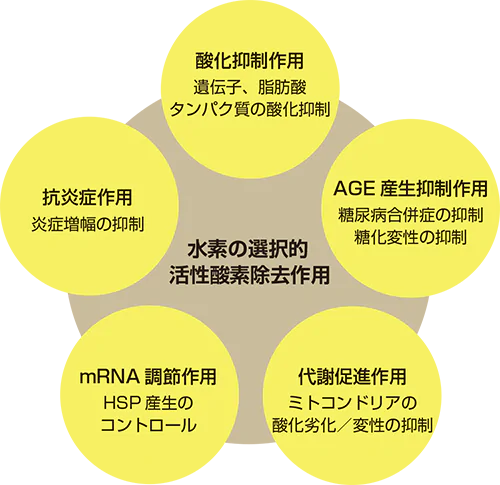 水素の持つ高い抗酸化力